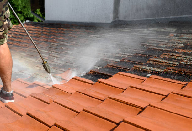 Professional Pressure Washing in Star Valley, AZ