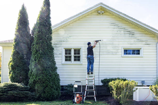 Best Pressure Washing Patio  in Star Valley, AZ