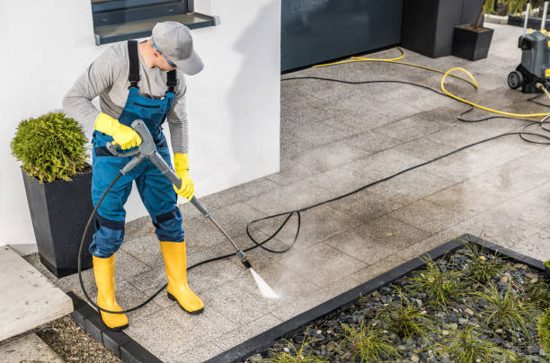 Best Local Pressure Washing Services  in Star Valley, AZ