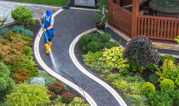 Best Deck Cleaning Services  in Star Valley, AZ